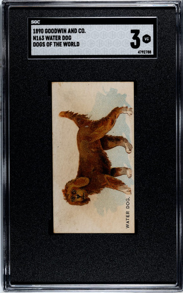 1890 N163 Goodwin & Co. Old Judge Water Dog Dogs of the World SGC 3 front of card