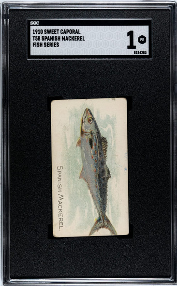 1910 T58 Fish Series Spanish Mackerel Sweet Caporal SGC 1 front of card