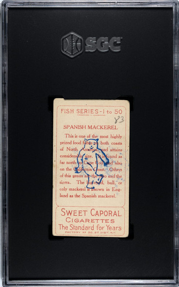 1910 T58 Fish Series Spanish Mackerel Sweet Caporal SGC 1 back of card