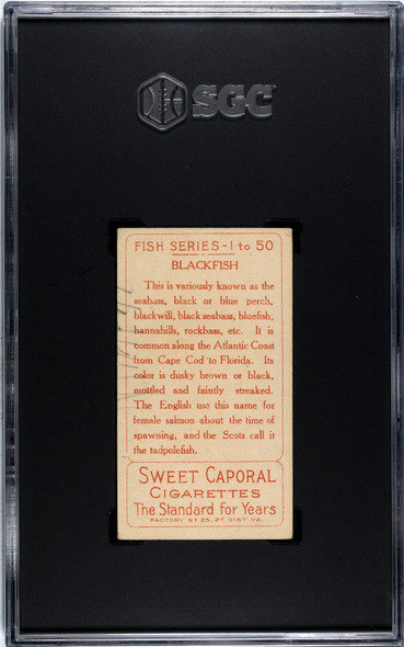 1910 T58 Fish Series Blackfish Sweet Caporal SGC 1.5 back of card