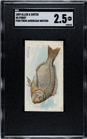 1889 N8 Allen & Ginter Porgy 50 Fish From American Waters SGC 2.5 front of card