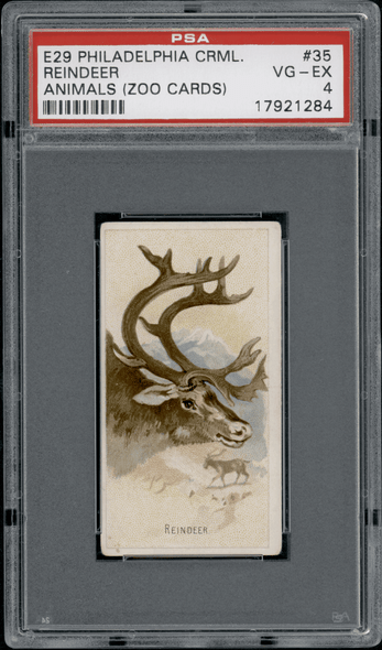 1910 E29 Philadelphia Caramel Reindeer Zoo Cards PSA 4 front of card