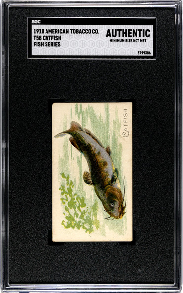 1910 T58 Fish Series Catfish American Tobacco Co. SGC A front of card