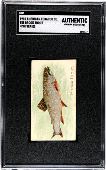 1910 T58 Fish Series Brook Trout American Tobacco Co. SGC A front of card