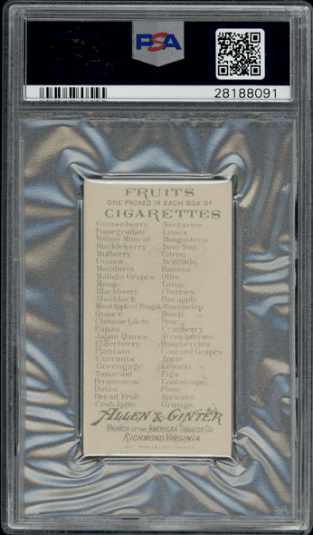 1891 N12 Allen & Ginter Cantaloupe Fruits PSA 2.5 back of card