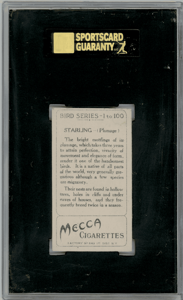 1910 T42 Mecca Cigarettes Starling Type 2 Bird Series SGC 7.5 back of card