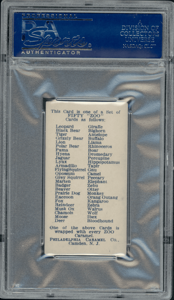 1909 E28 Philadelphia Caramel Musk Ox Zoo Cards PSA 4.5 back of card