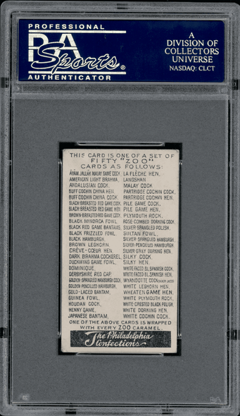 1907 E31 Philadelphia Caramel White Plymouth Rock Zoo Cards PSA 3 back of card