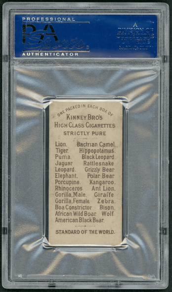 1890 N216 Kinney Bros. Gorilla (Female) Animals PSA 3 back of card