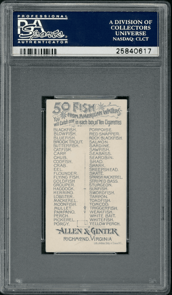 1889 N8 Allen & Ginter Herring 50 Fish From American Waters PSA 5 back of card