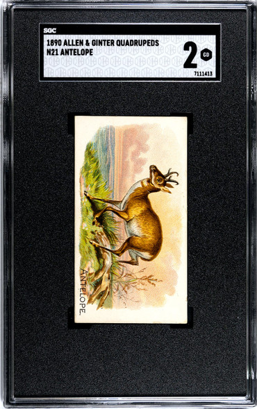 1890 N21 Allen & Ginter Antelope 50 Quadrupeds SGC 2 front of card