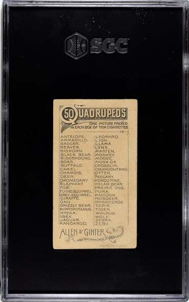 1890 N21 Allen & Ginter Boar 50 Quadrupeds SGC 5 back of card