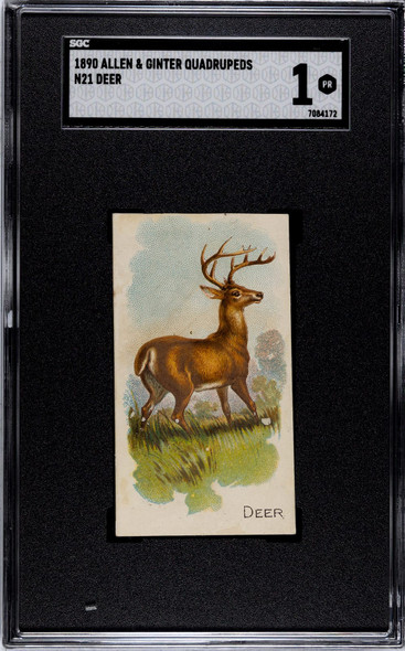 1890 N21 Allen & Ginter Deer 50 Quadrupeds SGC 1 front of card