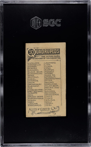 1890 N21 Allen & Ginter Dromedary 50 Quadrupeds SGC 5 back of card