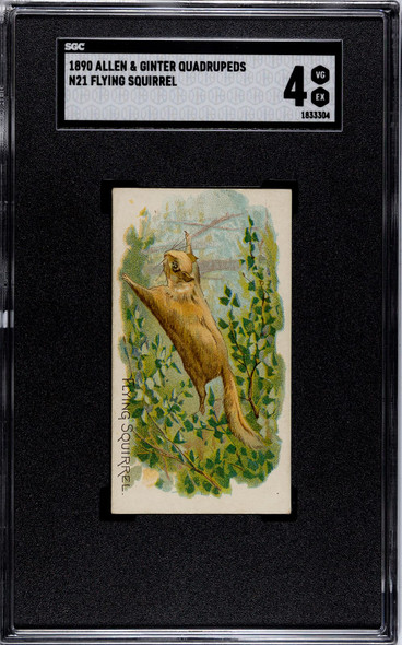 1890 N21 Allen & Ginter Flying Squirrel 50 Quadrupeds SGC 4 front of card