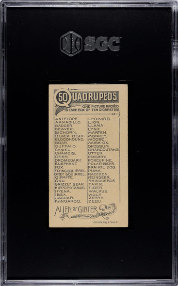 1890 N21 Allen & Ginter Flying Squirrel 50 Quadrupeds SGC 4 back of card