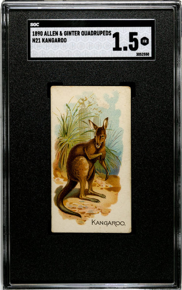 1890 N21 Allen & Ginter Kangaroo 50 Quadrupeds SGC 1.5 front of card