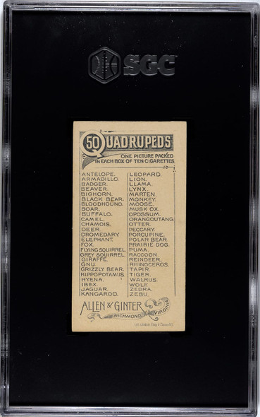 1890 N21 Allen & Ginter Lynx 50 Quadrupeds SGC 6 back of card