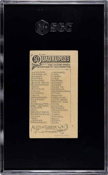 1890 N21 Allen & Ginter Otter 50 Quadrupeds SGC 4.5 back of card