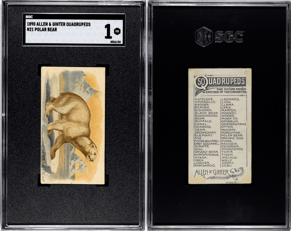 1890 N21 Allen & Ginter Polar Bear 50 Quadrupeds SGC 1 front and back of card