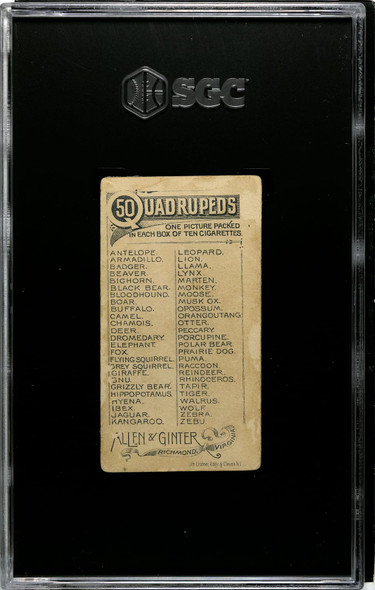 1890 N21 Allen & Ginter Dromedary 50 Quadrupeds SGC 1 back of card