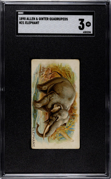 1890 N21 Allen & Ginter Elephant 50 Quadrupeds SGC 3 front of card