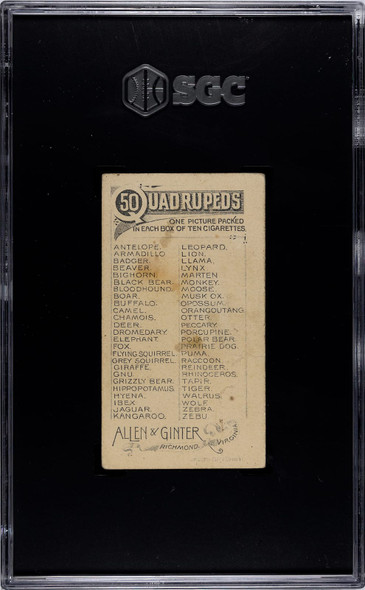 1890 N21 Allen & Ginter Hippopotamus 50 Quadrupeds SGC 4 back of card