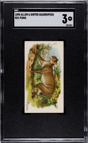 1890 N21 Allen & Ginter Puma 50 Quadrupeds SGC 3 front of card
