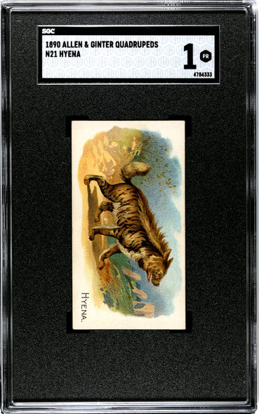 1890 N21 Allen & Ginter Hyena 50 Quadrupeds SGC 1 front of card