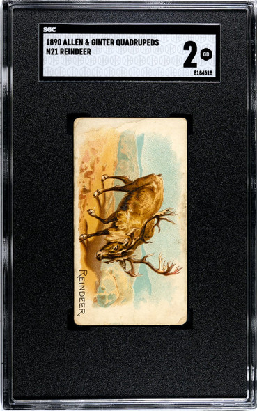 1890 N21 Allen & Ginter Reindeer 50 Quadrupeds SGC 2 front of card