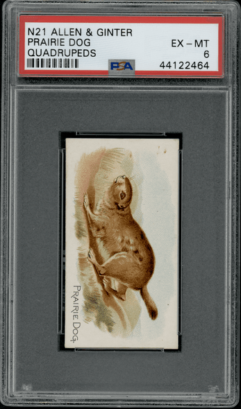 1890 N21 Allen & Ginter Prairie Dog 50 Quadrupeds PSA 6 front of card