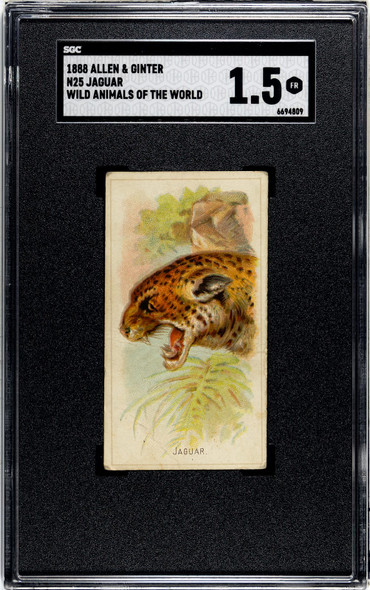 1888 N25 Allen & Ginter Jaguar Wild Animals of the World SGC 1.5 front of card