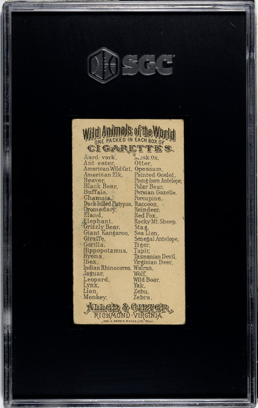 1888 N25 Allen & Ginter Jaguar Wild Animals of the World SGC 1.5 back of card