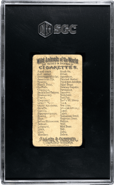 1888 N25 Allen & Ginter Giraffe Wild Animals of the World SGC 1 back of card