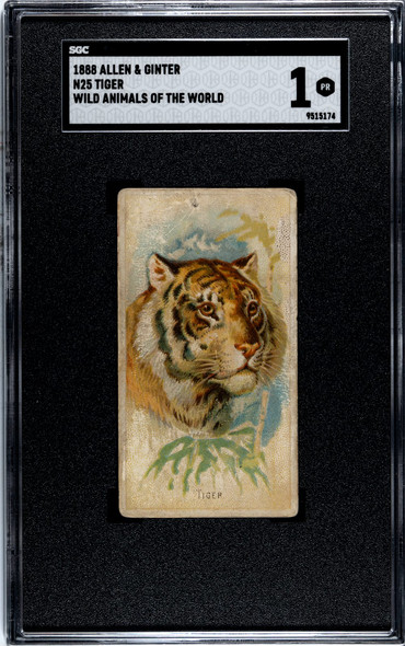 1888 N25 Allen & Ginter Tiger Wild Animals of the World SGC 1 front of card