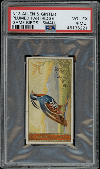 1889 N13 Allen & Ginter Plumed Partridge Game Birds PSA 4(MC) front of card