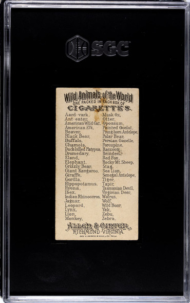 1888 N25 Allen & Ginter Monkey Wild Animals of the World SGC 2 back of card