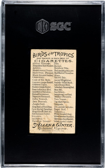 1889 N5 Allen & Ginter Lyre Bird Birds of the Tropics SGC 3 back of card