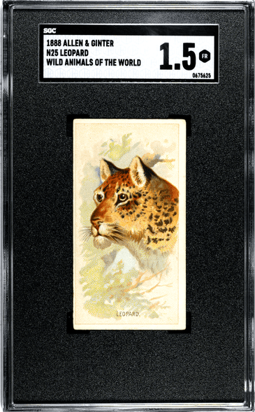 1888 N25 Allen & Ginter Leopard Wild Animals of the World SGC 1.5 front of card