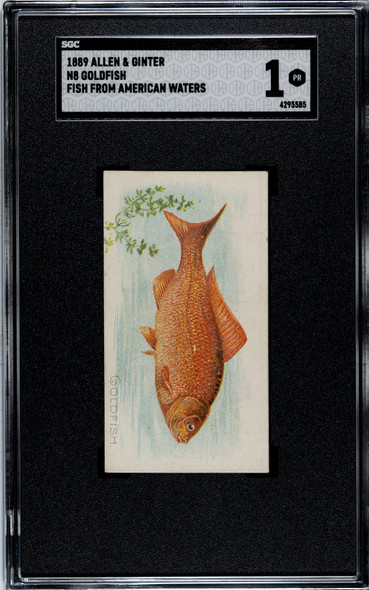 Shop 1889 N8 Allen & Ginter Cards - Rare & Authentic | T206Cards.com