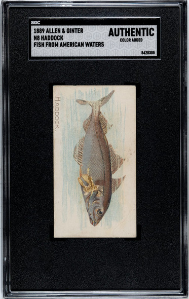 1889 N8 Allen & Ginter Haddock Fish From American Waters SGC A front of card