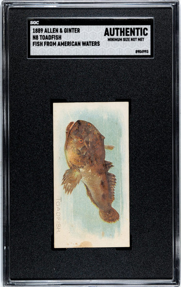 1889 N8 Allen & Ginter Toadfish Fish From American Waters SGC A front of card