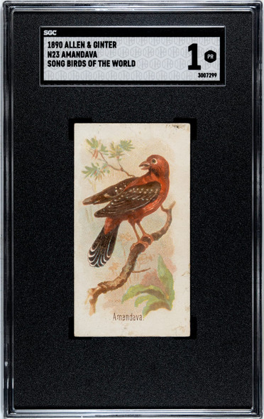 1890 N23 Allen & Ginter Amandava Song Birds of the World SGC 1 front of card
