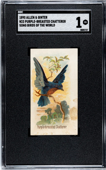 1890 N23 Allen & Ginter Purple-Breasted Chatterer Song Birds of the World SGC 1 front of card
