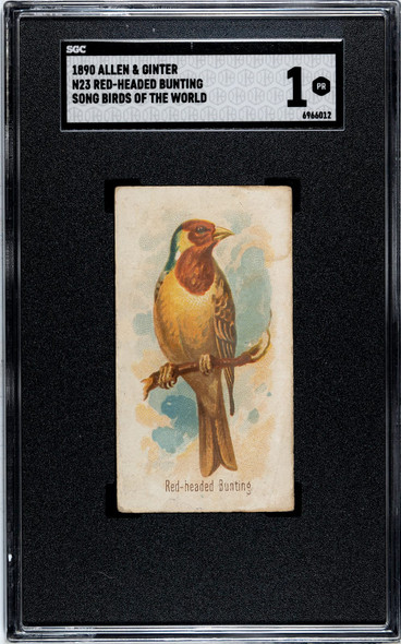 1890 N23 Allen & Ginter Red-Headed Bunting Song Birds of the World SGC 1 front of card