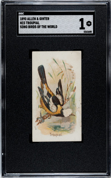 1890 N23 Allen & Ginter Troupial Song Birds of the World SGC 1 front of card