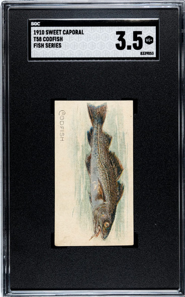 1910 T58 Fish Series Codfish Sweet Caporal SGC 3.5 front of card