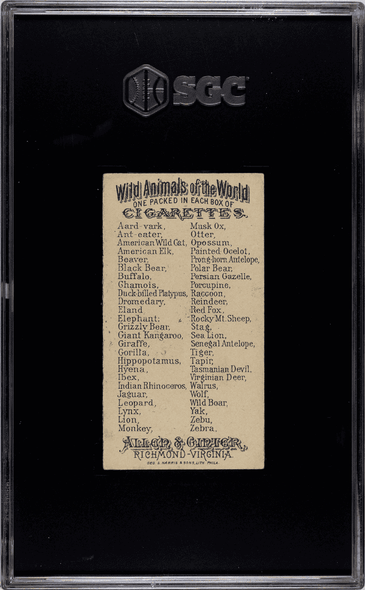 1888 N25 Allen & Ginter American Elk Wild Animals of the World SGC 5 back of card