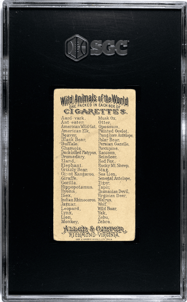 1888 N25 Allen & Ginter Black Bear Wild Animals of the World SGC 2.5 back of card