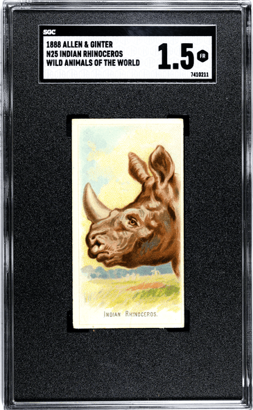 1888 N25 Allen & Ginter Indian Rhinoceros Wild Animals of the World SGC 1.5 front of card